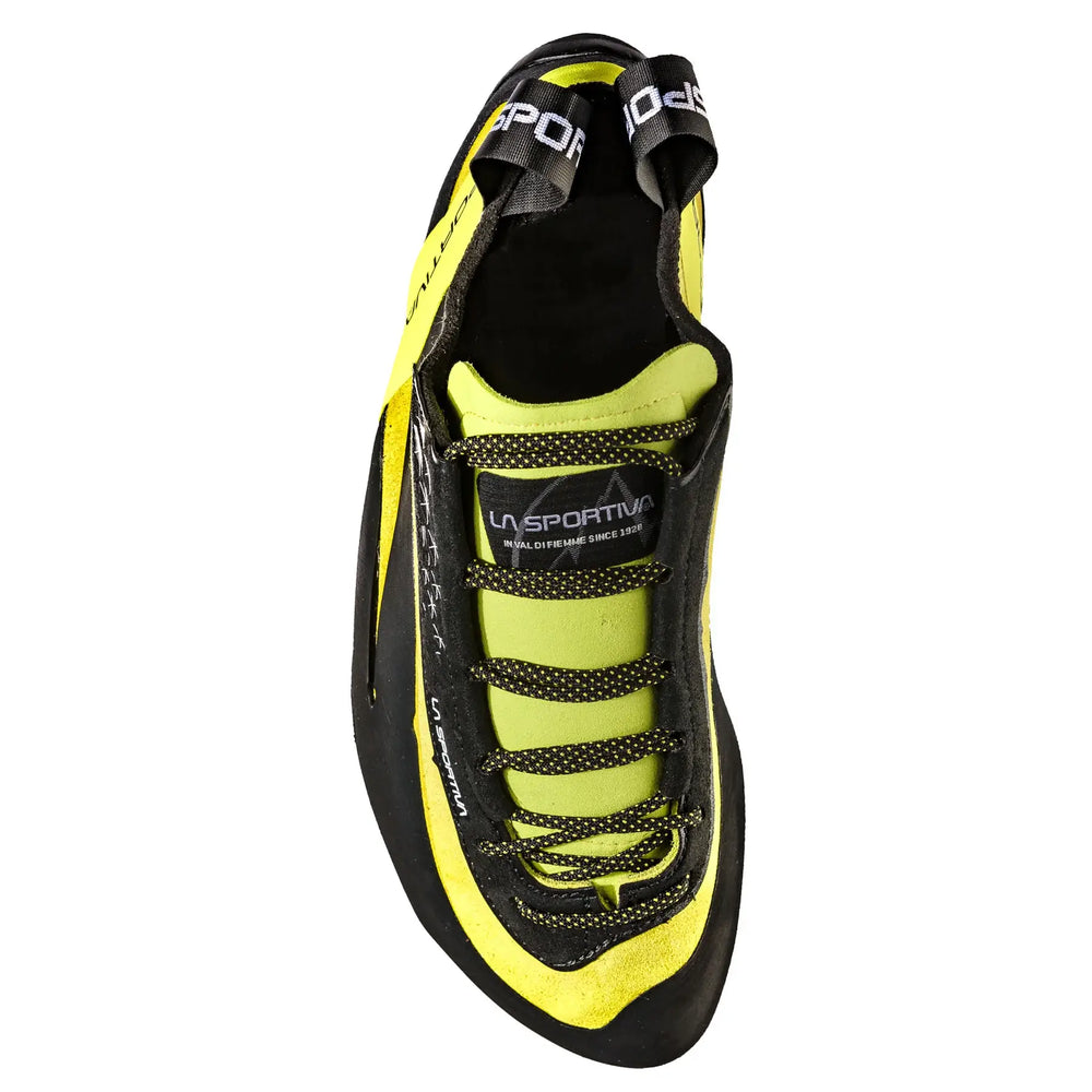 Miura Laces Lime