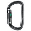Petzl Am’D Safe Carabiner segunda imagen