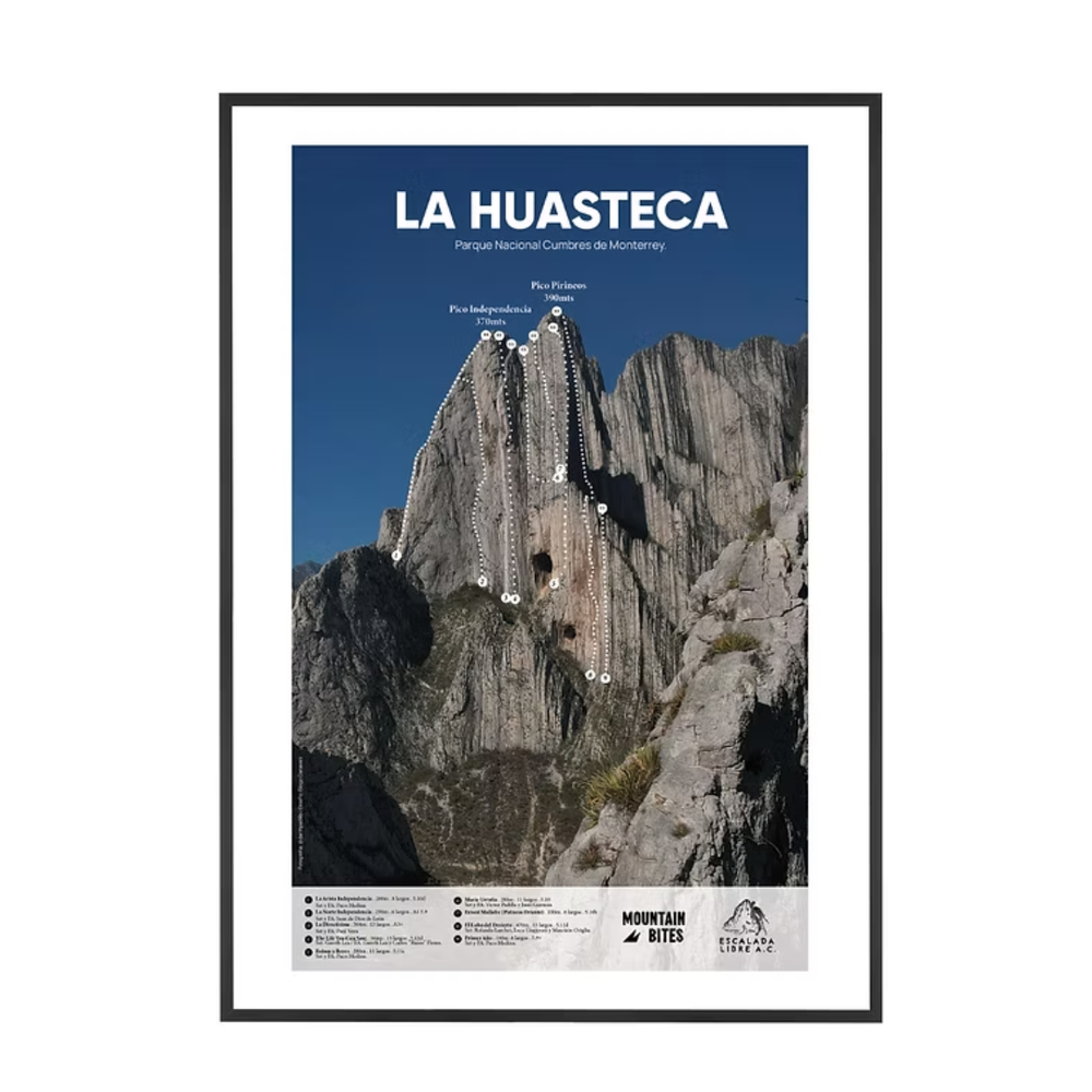 Seed Kit 🌱 Camiseta + Poster Escalada Libre