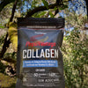 PhysiVantage Collagen